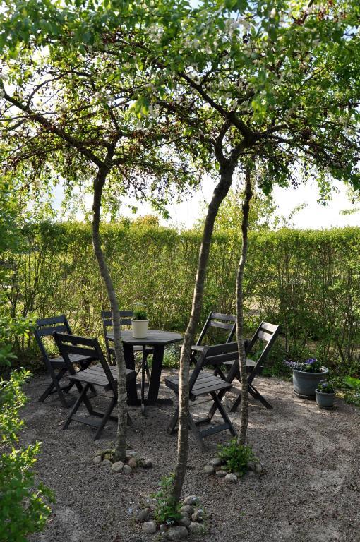 Kontakta Liselotte Abel Bed & Breakfast Vessigebro Ngoại thất bức ảnh